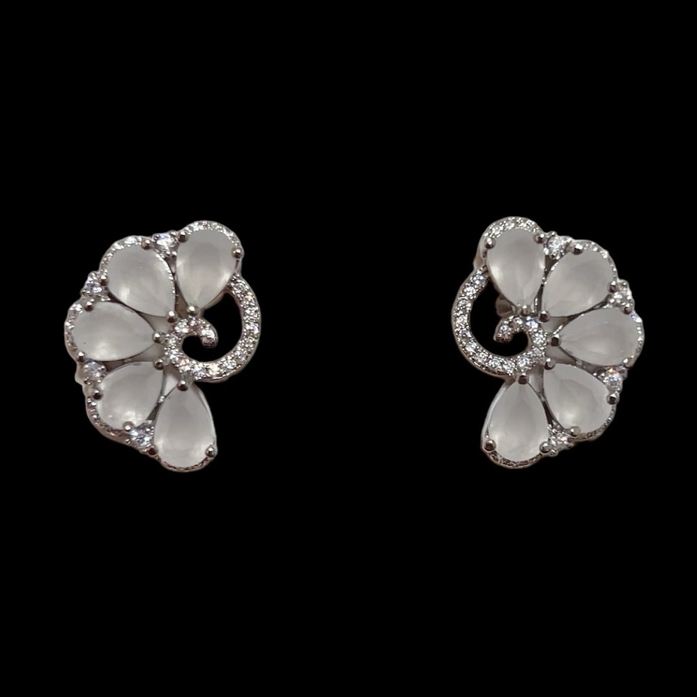 - - Luxury earring, earring/ stimulated diamond earrings